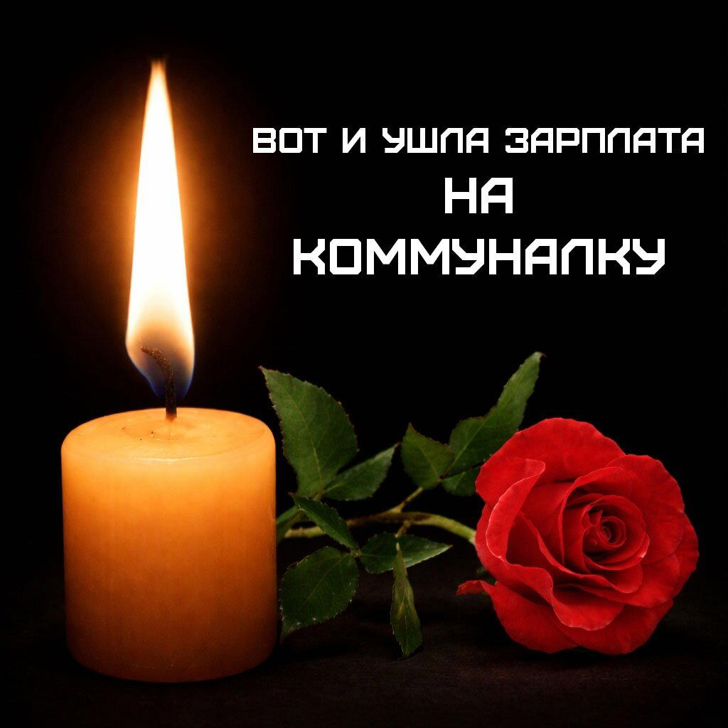 Ди парапа Ди папа-папа дичка