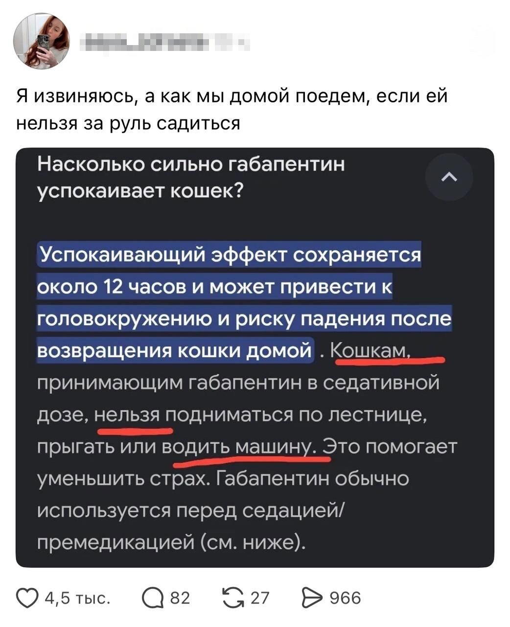 Ди парапа Ди папа-папа дичка