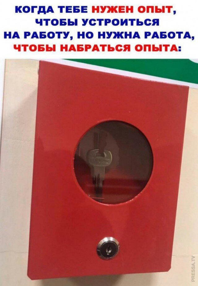 Ди парапа Ди папа-папа дичка