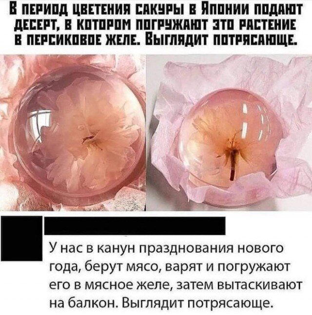 Ди парапа Ди папа-папа дичка