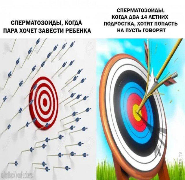 Ди парапа Ди папа-папа дичка