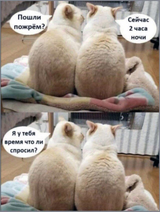 Ди парапа Ди папа-папа дичка