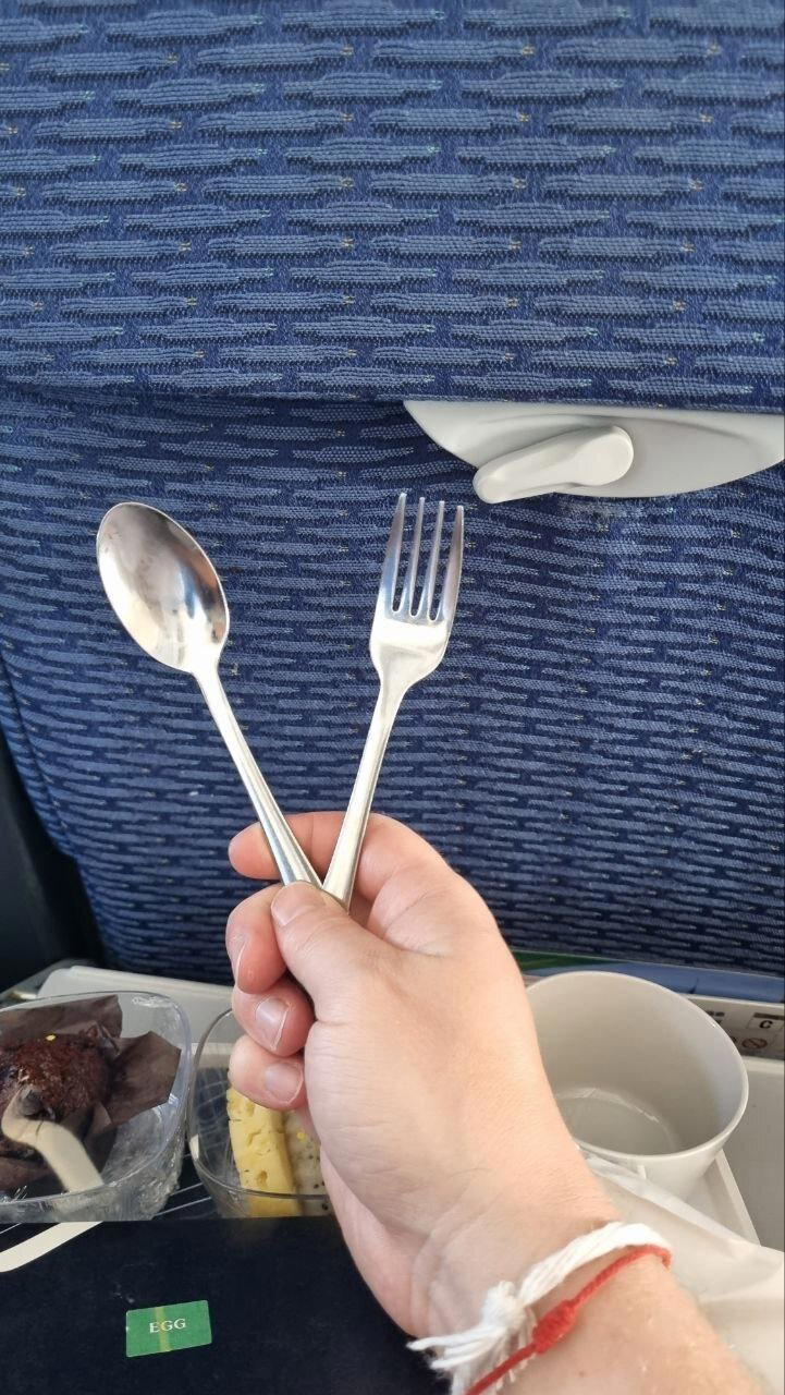 Каждый раз, когда я вновь получаю металлические приборы в самолёте, я вспоминаю этот комментарий