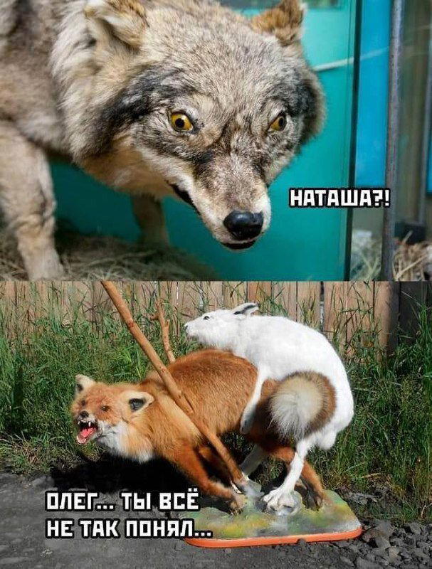 Дички субботы нам же не до работы