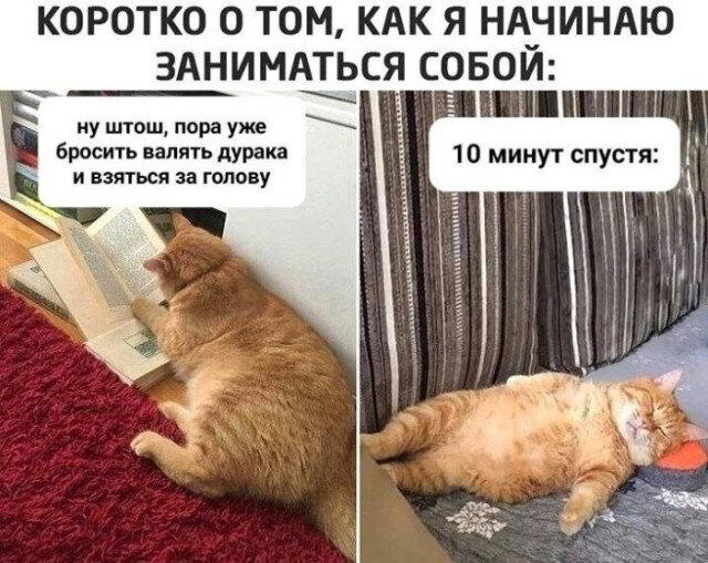 Дички субботы нам же не до работы