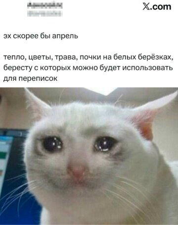 Дички субботы нам же не до работы