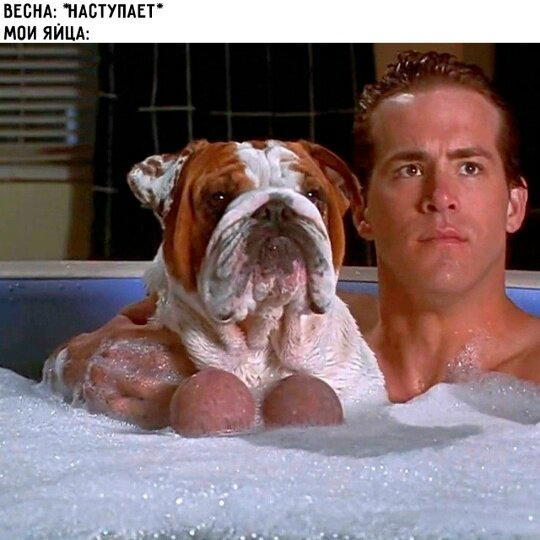 Дички субботы нам же не до работы