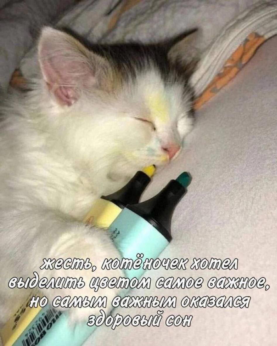 Немножко неожиданной дички, для отправки друзьям