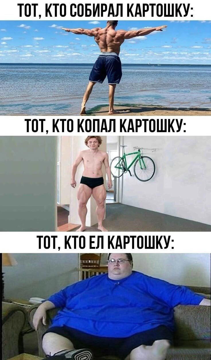 Утров понедельника вам с дичкой