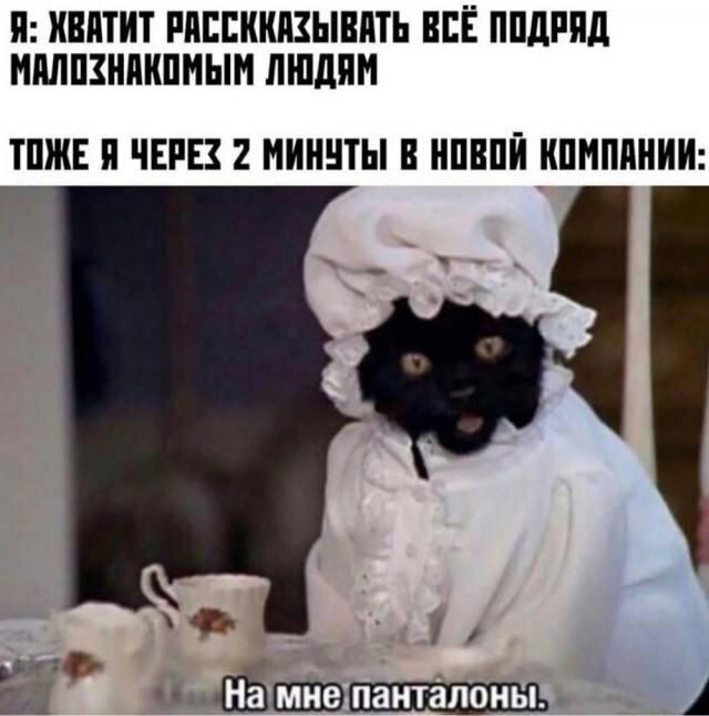 Утров понедельника вам с дичкой