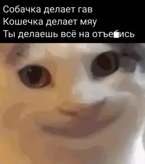 Утров понедельника вам с дичкой