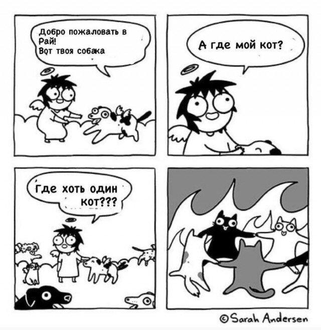 Утров понедельника вам с дичкой