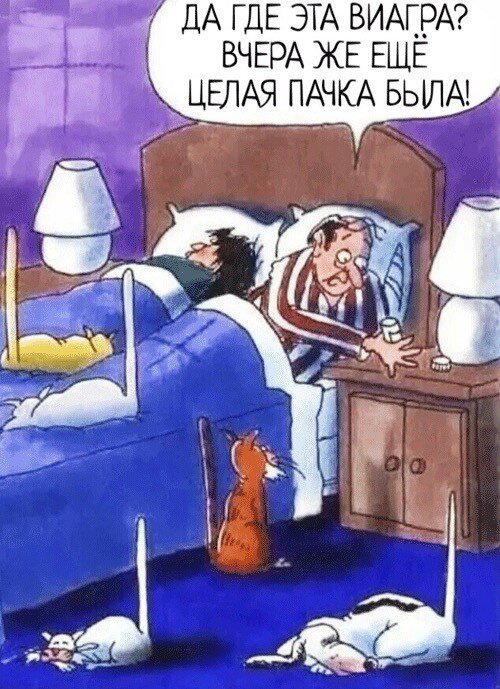 Утров понедельника вам с дичкой