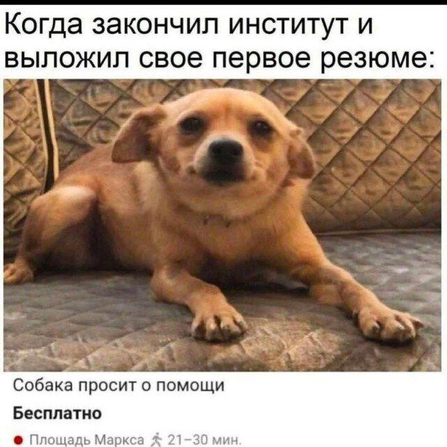 Утров понедельника вам с дичкой