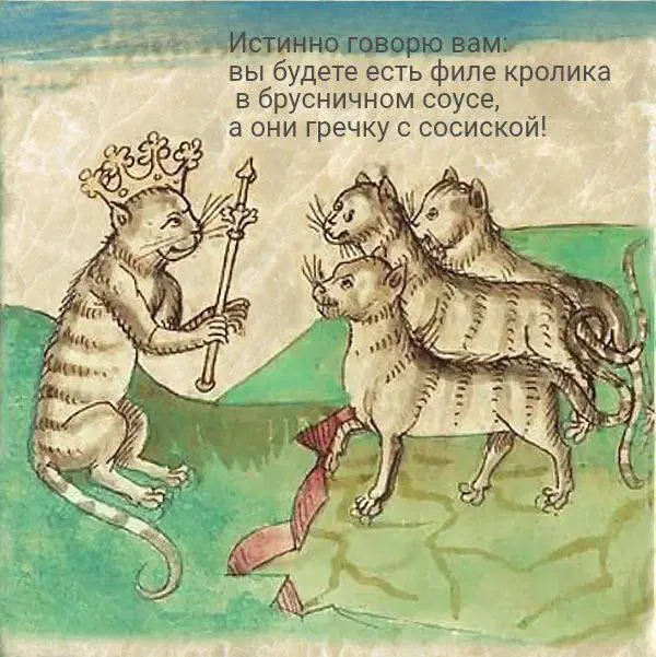 Дичка как вторник, прекрасна