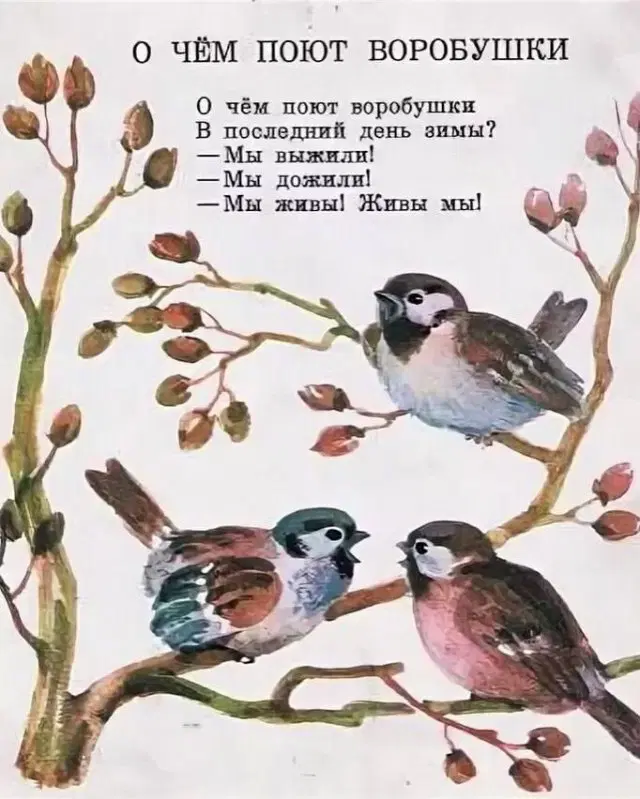 Дичка как вторник, прекрасна