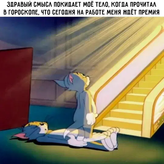 Дичка как вторник, прекрасна