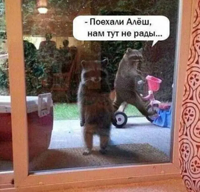 Дичка как вторник, прекрасна