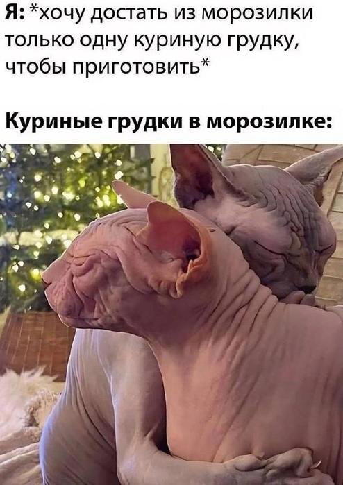 Средичка