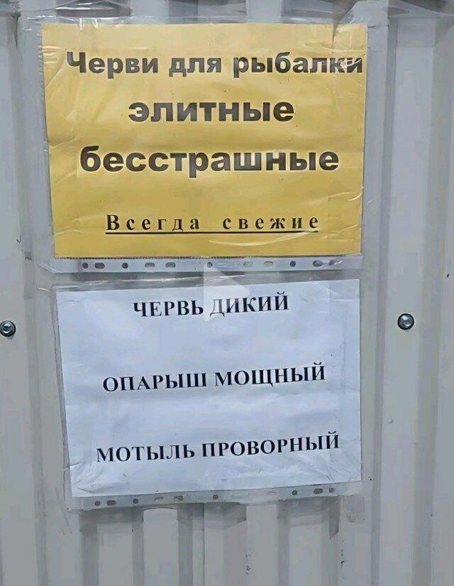 Дичесредка