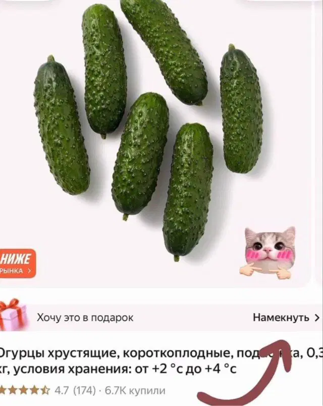 Дичесредка