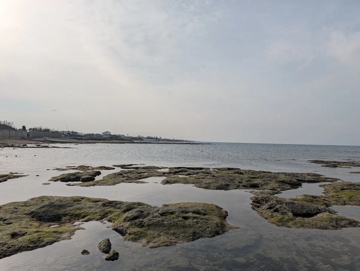 Пляжа тут нет 