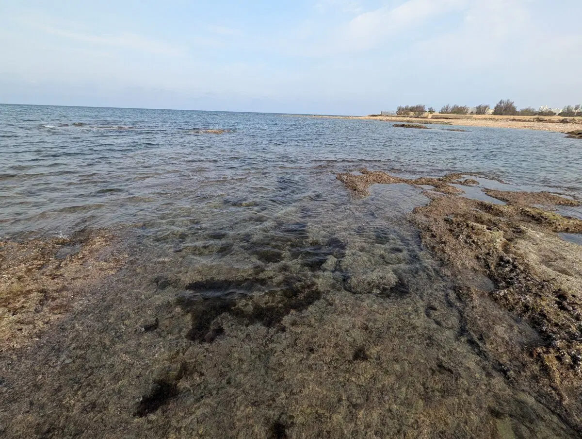 На мелководье вода уже теплая