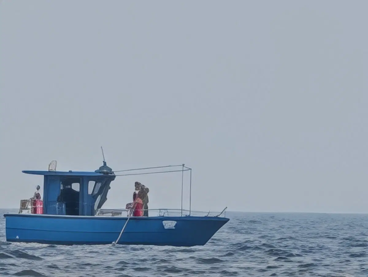 Рыбак за работой. 