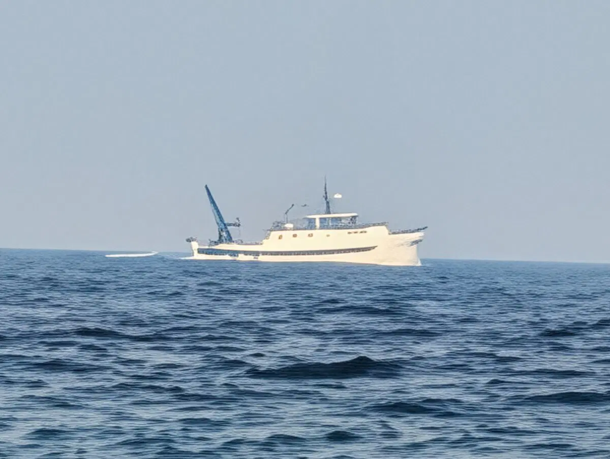 Крупных кораблей не видно только катера. 