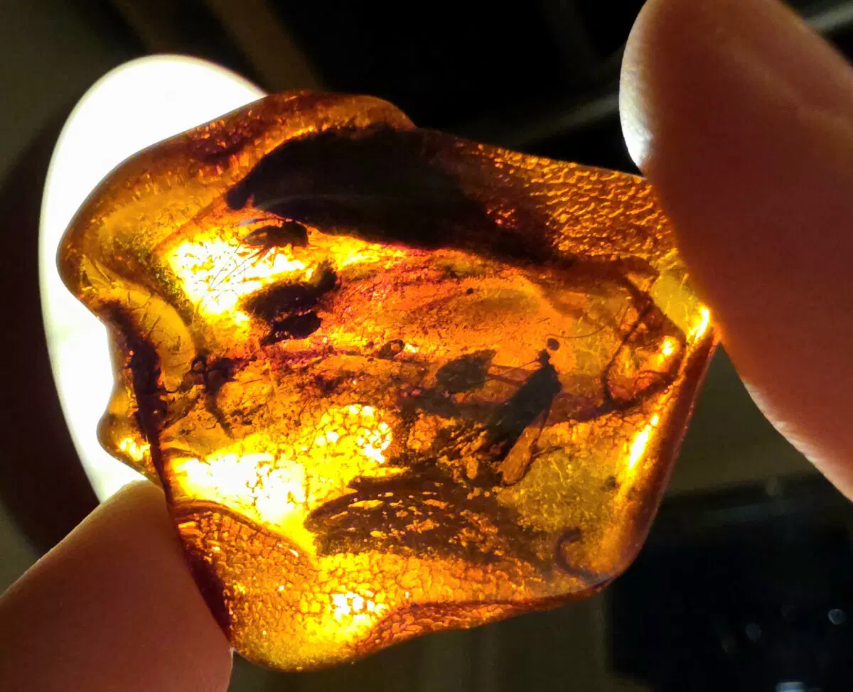 На свет красиво смотрится