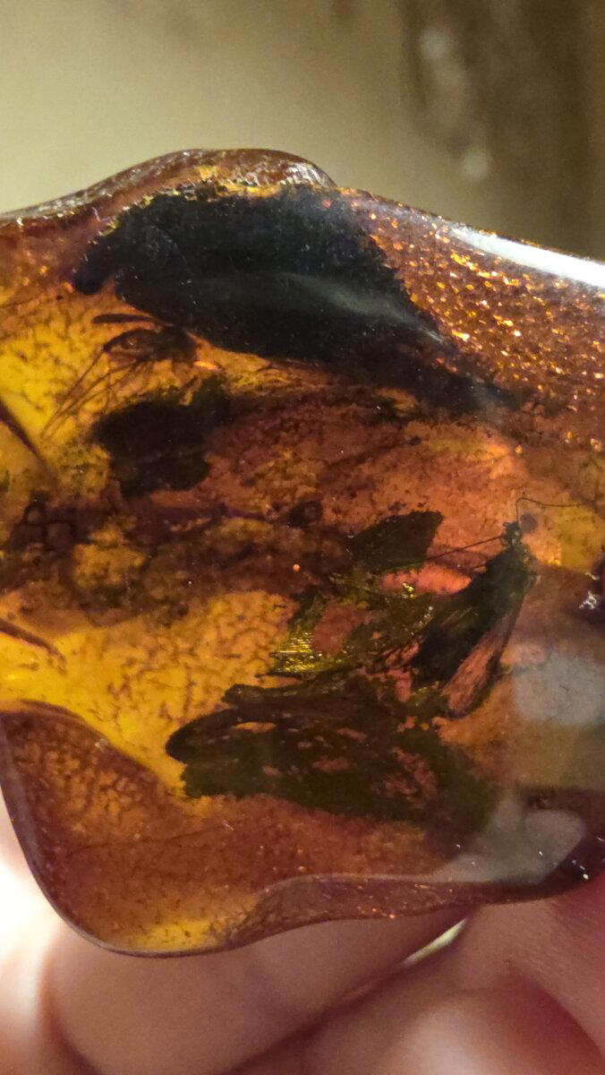 Комар и мотылек