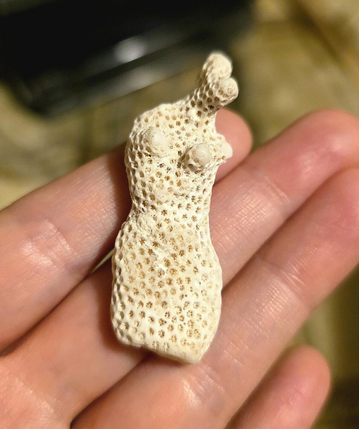 Израильская Венера.