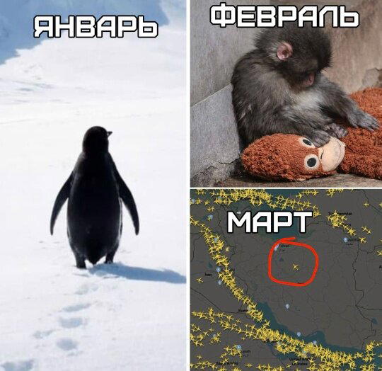 Четвергодич