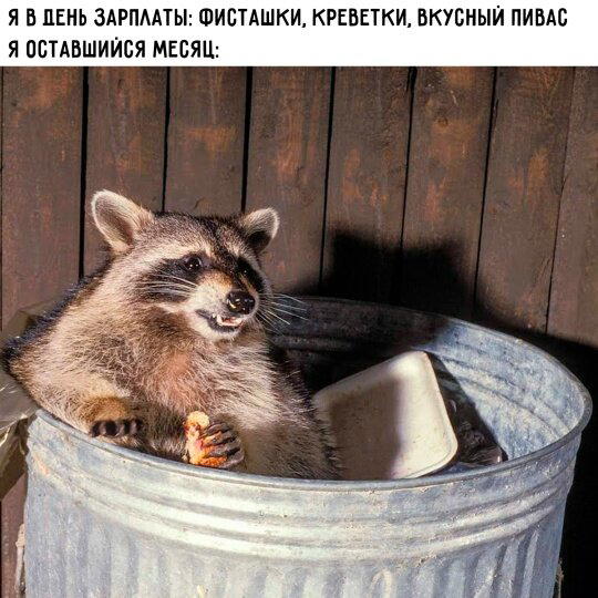 Четвергодич