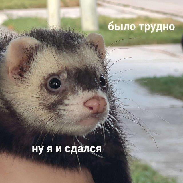 Четвергодич