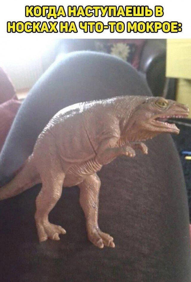 Четвергодич