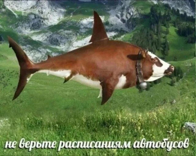 Четвергодич