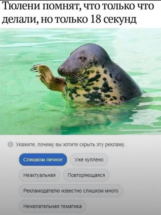 Четвергодич