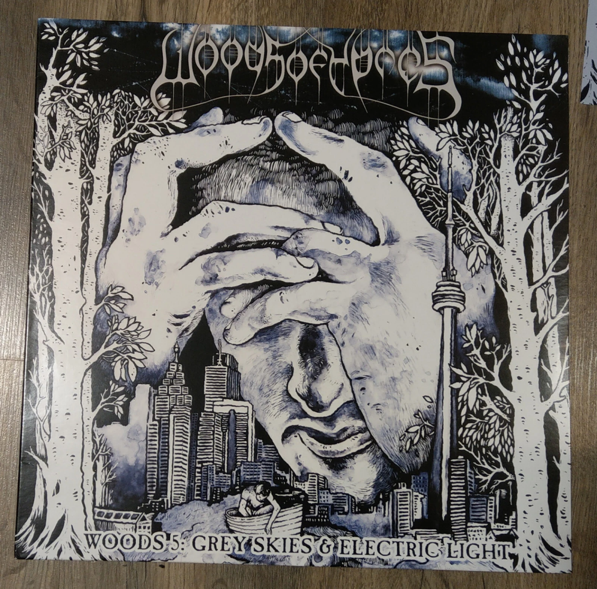 Серые небеса и электрический свет.