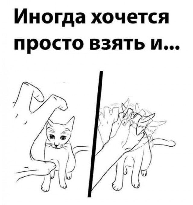 Вечерело... Дичка на завтра