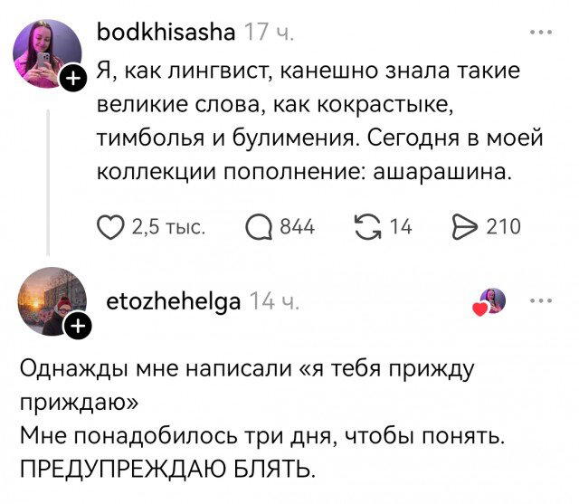 Вечерело... Дичка на завтра