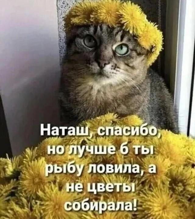 Вечерело... Дичка на завтра