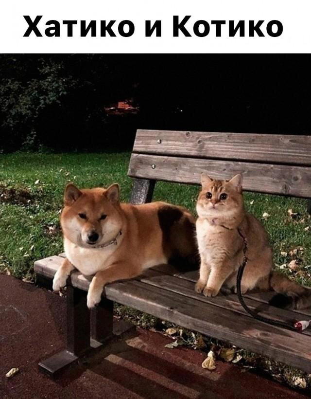 Вечерело... Дичка на завтра