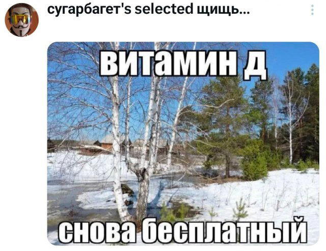 Вечерело... Дичка на завтра