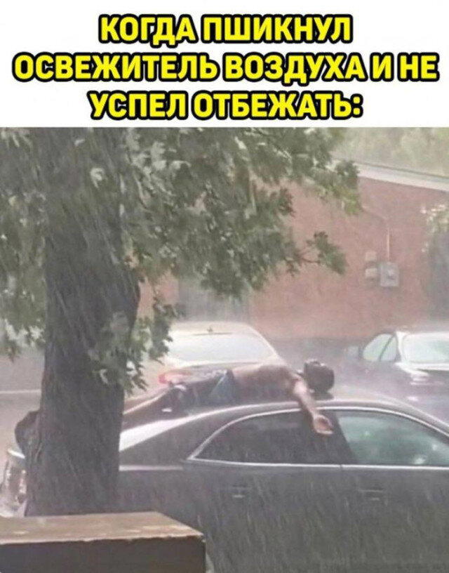 Вечерело... Дичка на завтра