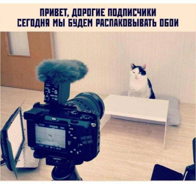 Вечерело... Дичка на завтра