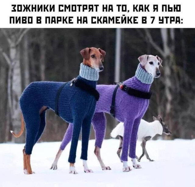 Вечерело... Дичка на завтра