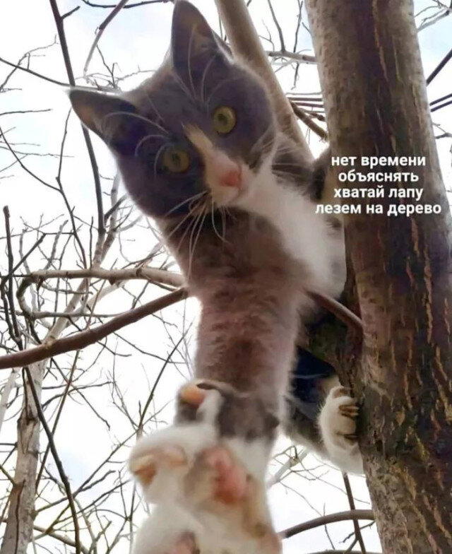 Вечерело... Дичка на завтра