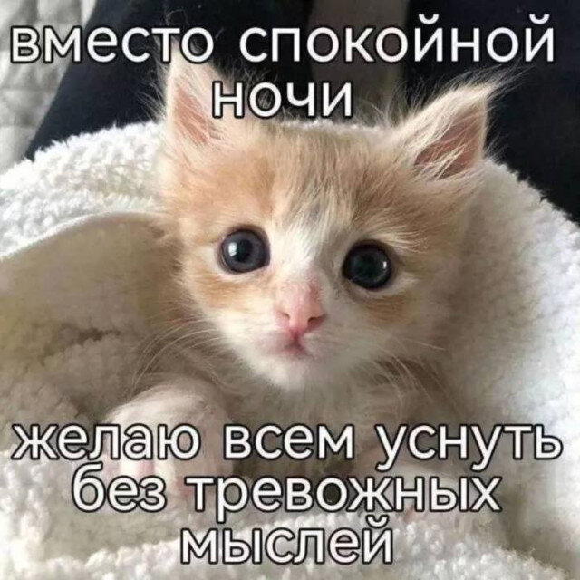 Вечерело... Дичка на завтра