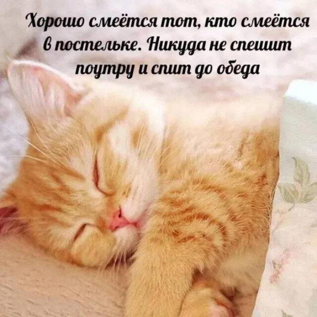 Вечерело... Дичка на завтра